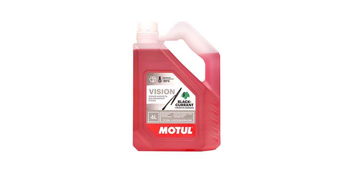 MOTUL VISION CRNA RIBIS