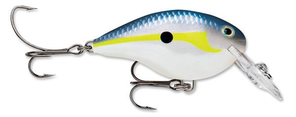 Rapala roni