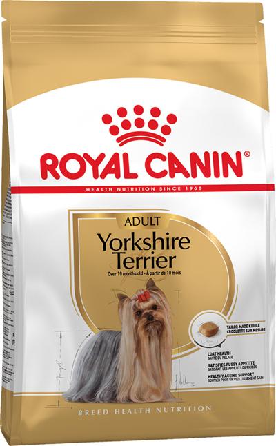 Royal Canin jorkširski terijer Odrasla osoba