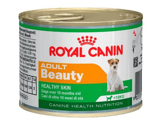 Royal Canin mini odrasla osoba