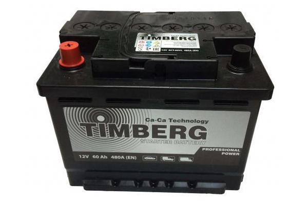 Timberg Professional Snaga 60 A / h 480 A