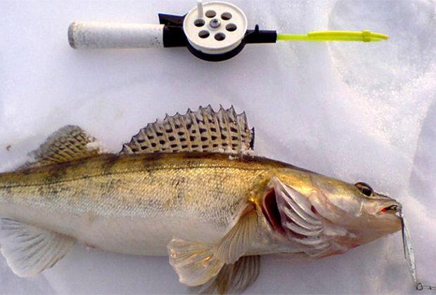 Najbolji spinner za walleye