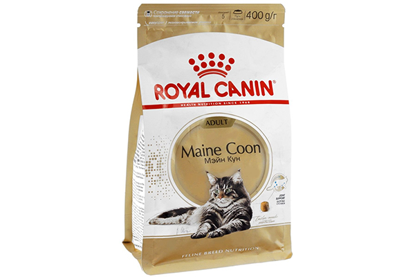 Royal Canin Maine Coon